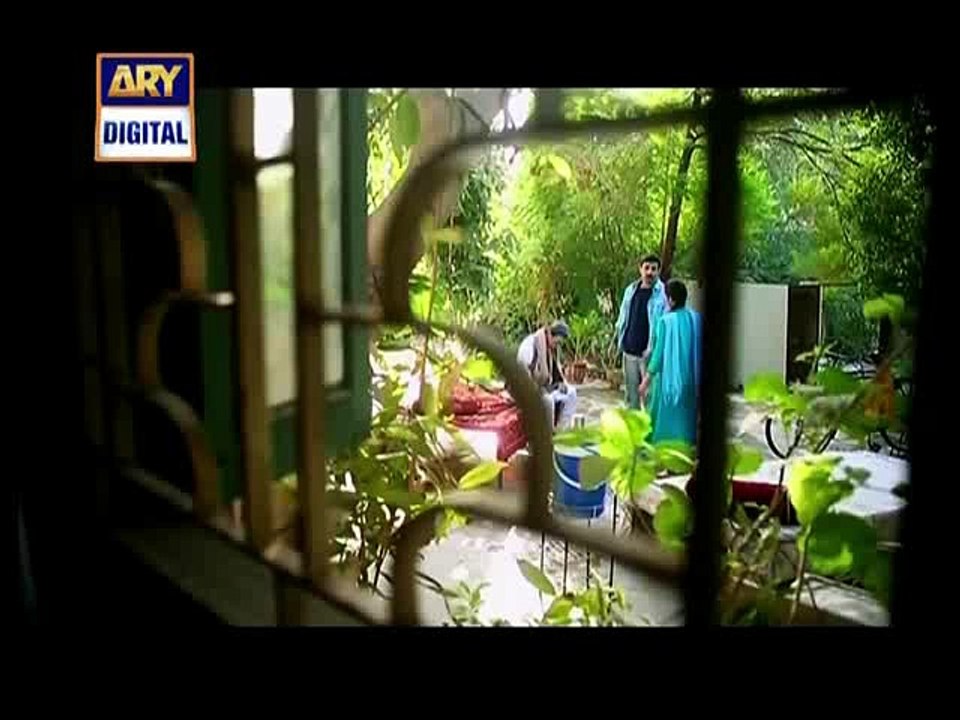Shehzada Saleem Episode 9 on Ary Digital