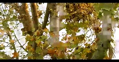 Tum Yaad Aye - Title OST Song By Ary Digital -