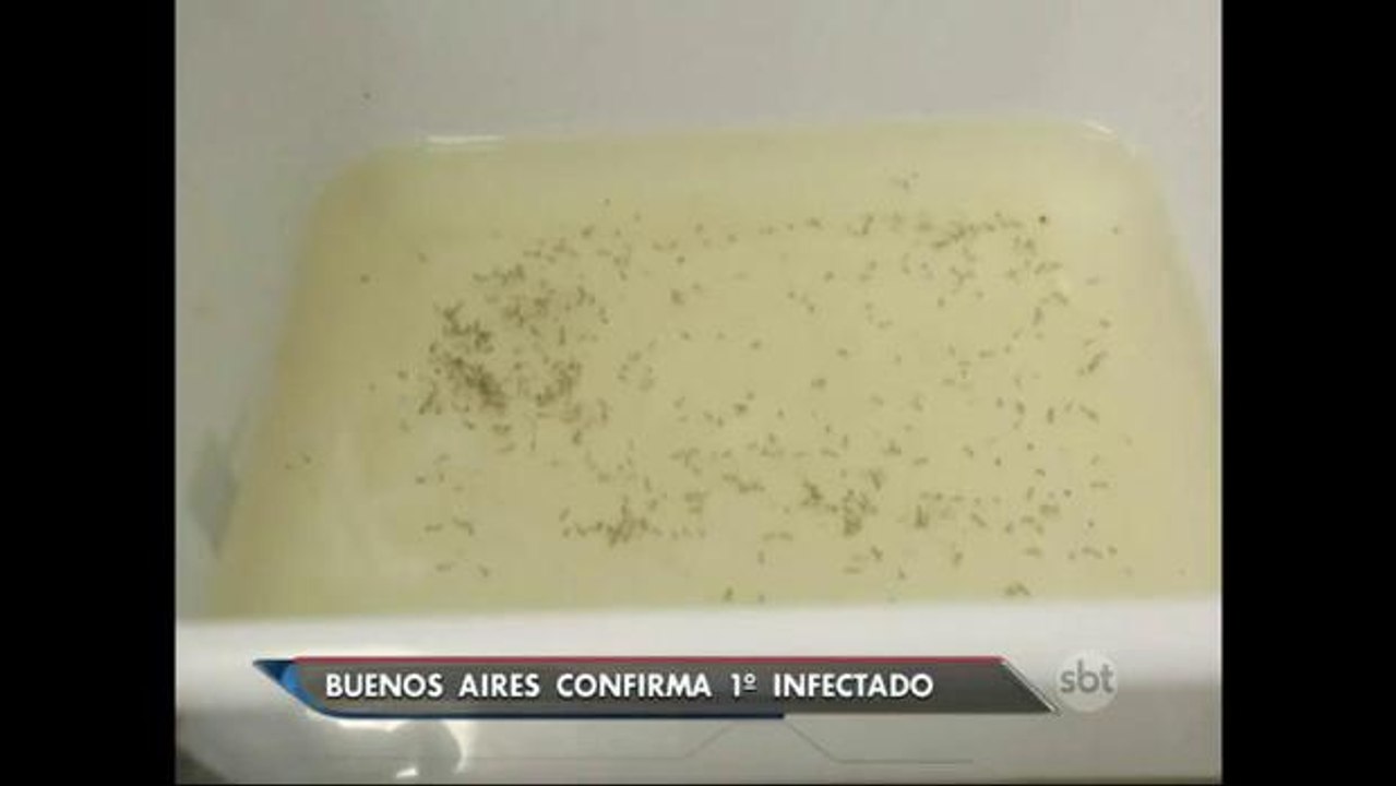 Argentina confirma primeiro caso de zika vírus em Buenos Aires