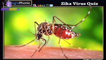 Zika Virus Quiz, infectious disease spread by Aedes mosquitos cause microcephaly ,babies , pregnancy