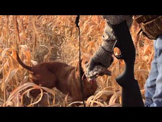 MacMillan River Adventures - Chapter 9 The Feathers Started Flying