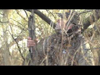 Mojo TV - Destination Due South