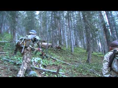 North American Hunter - Call of the Wild Elk