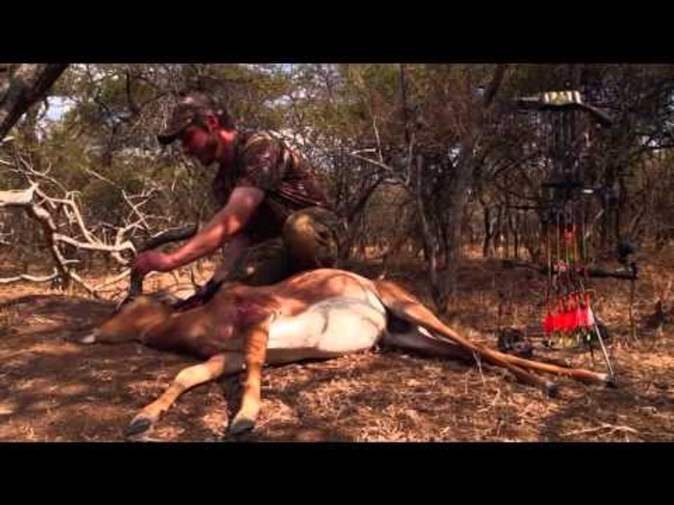 Jason Petersons Into the Wild - Bowhunting Black Death Part 1