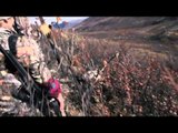 Jim Shockeys Hunting Adventures - A Mountain Caribou Hunt with Jims Fav Hunting Buddy