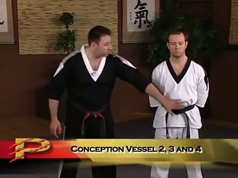 Patadas a los Puntos Vitales