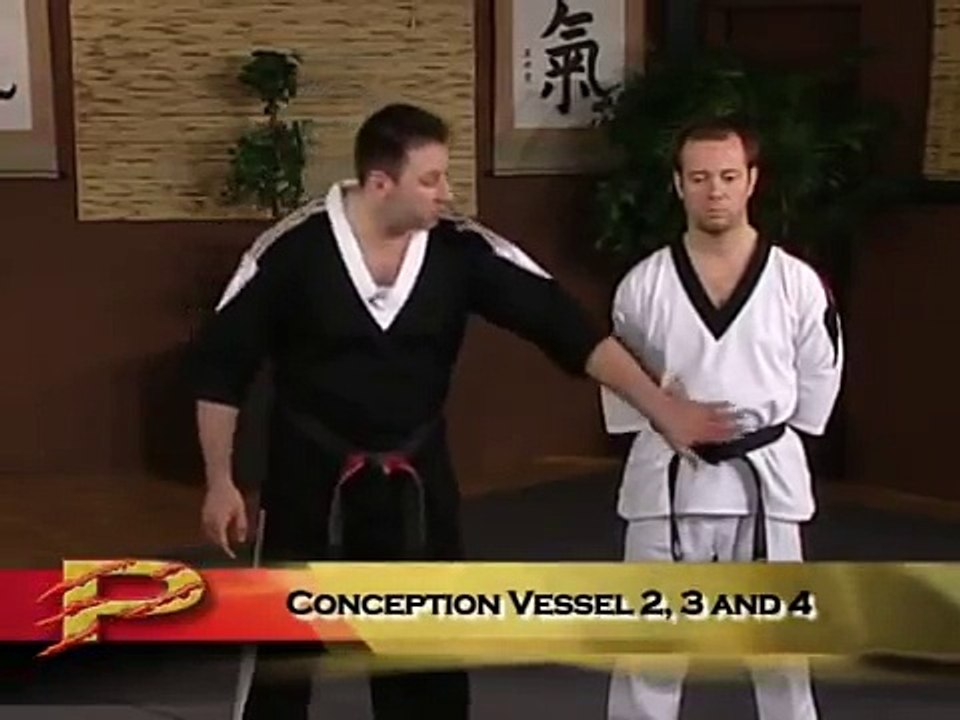 Patadas a los Puntos Vitales