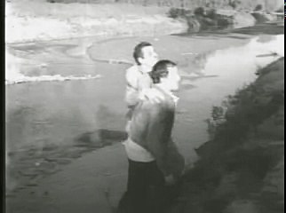 PEDRO INFANTE   EL GAVILAN POLLERO