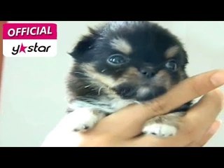 [특종 헌터스] eps 54 "작아야 산다! 초미니 월드!!"