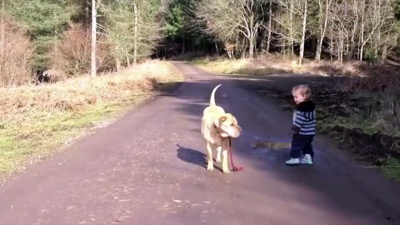 un chien et un enfant