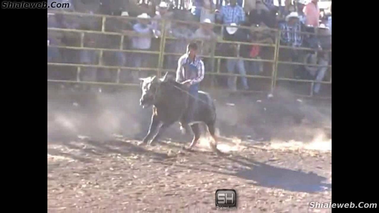 SUPER JARIPEO RANCHERO EXTREMO EN LAS TORTUGAS MICHOACAN MEXICO VALIENTES JINETES MONTAN TOROS SALVAJES CON ESPUELA LIBRE EN LA FIESTA CHARRA ENERO 2016