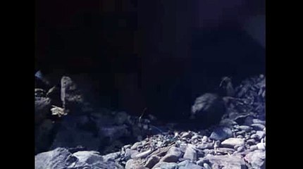 와와카지노【 KOP77。COM 】태양성카지노