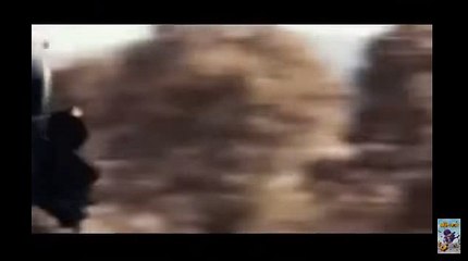 블랙잭싸이트【 KOP77。COM 】마카오바카라