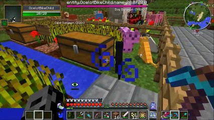 Minecraft  KITTY CAT CHALLENGE [EPS6] [54]