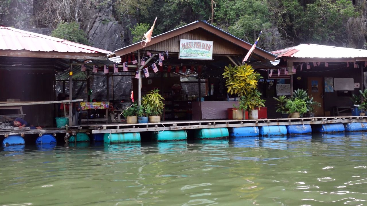 Langkawi Kilim Geoforest Boat Ride Fish Farm Part 2