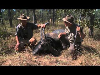 North American Hunter - Australia