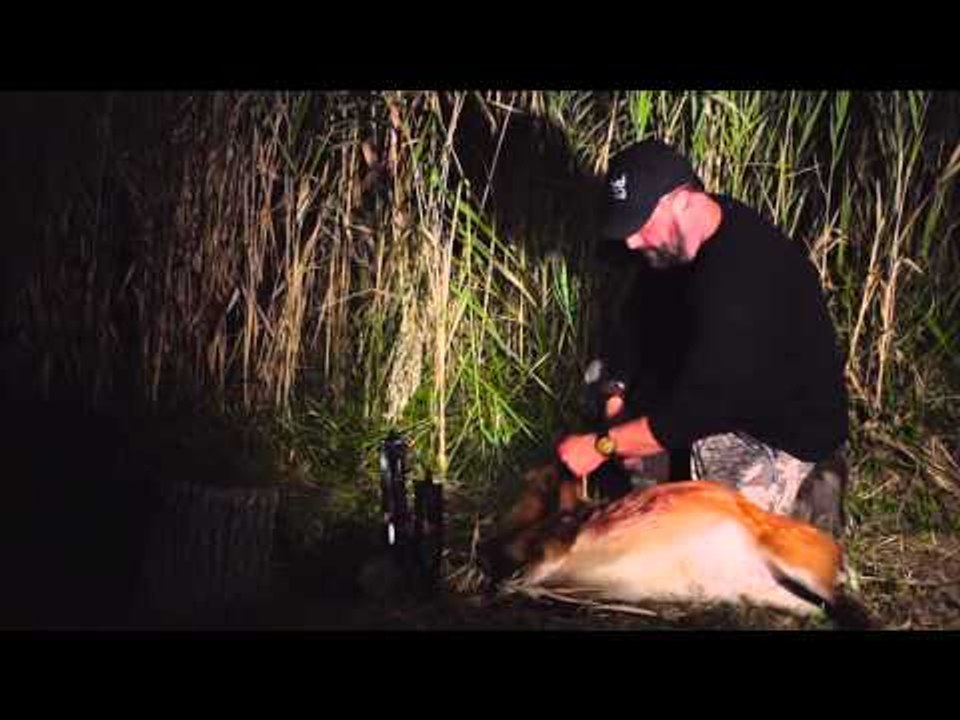 Dead Down Winds Live the Wild Life - Angels and Ghosts