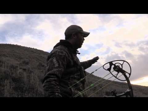 Live 2 Hunt - Live 2 Hunt