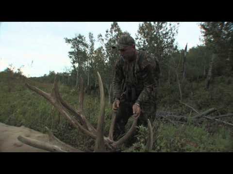 Moment of Impact - Magnum Elk