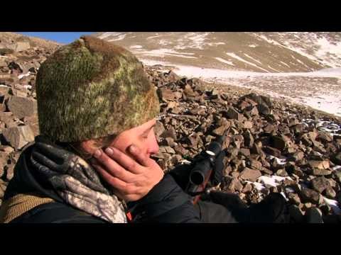 Where in the World is Colorado Buck - Colorado Hunts Marco Polo Sheep