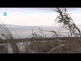 SportingDog Adventures - Vanishing Paradise