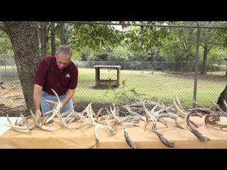 The Gamekeepers of Mossy Oak - Whitetails 101