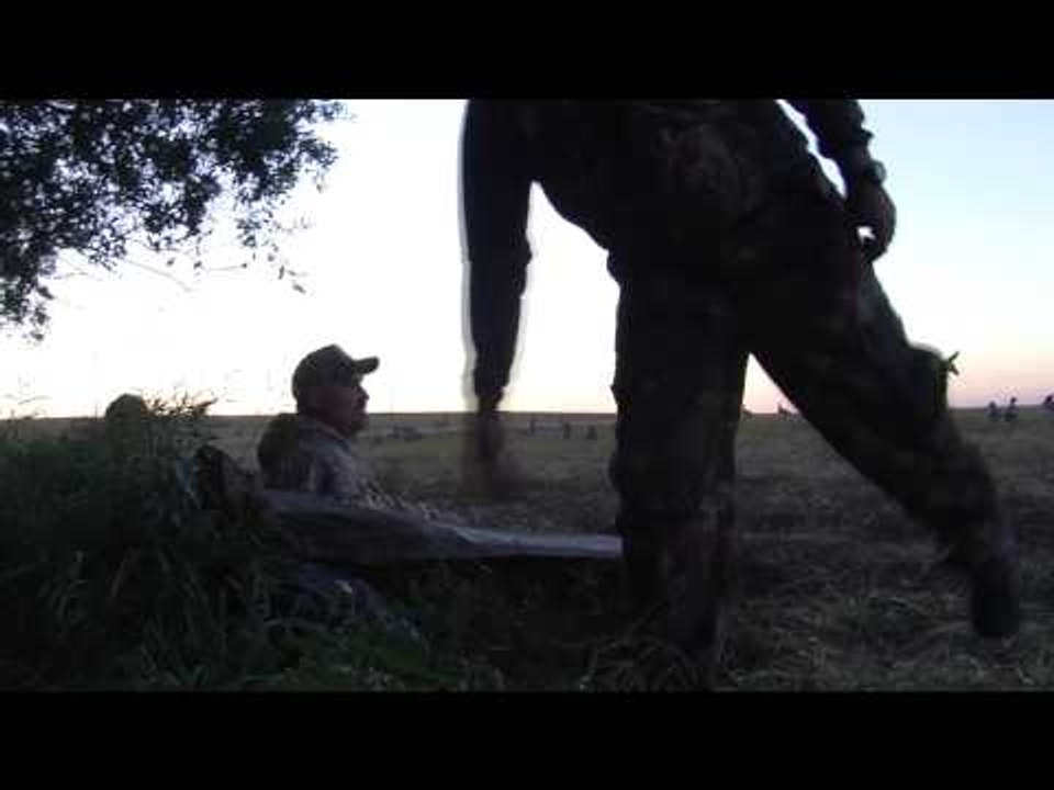 Trigger Effect - Fog with a Chance of Snow