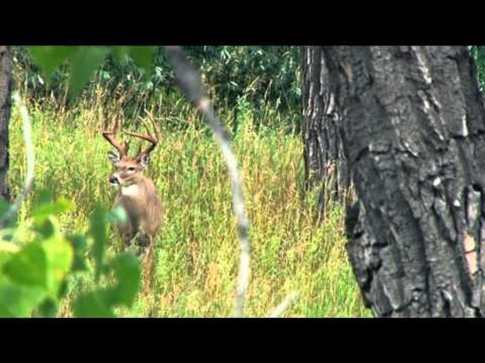 HeadHunters TV - HeadHunters TV