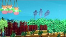 Oktonauti i Morske iguane (Sinhronizovan crtani film za decu)