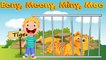 Kids Songs - EENY MEENY MINEY MOE - Nursery Rhymes Songs for babies
