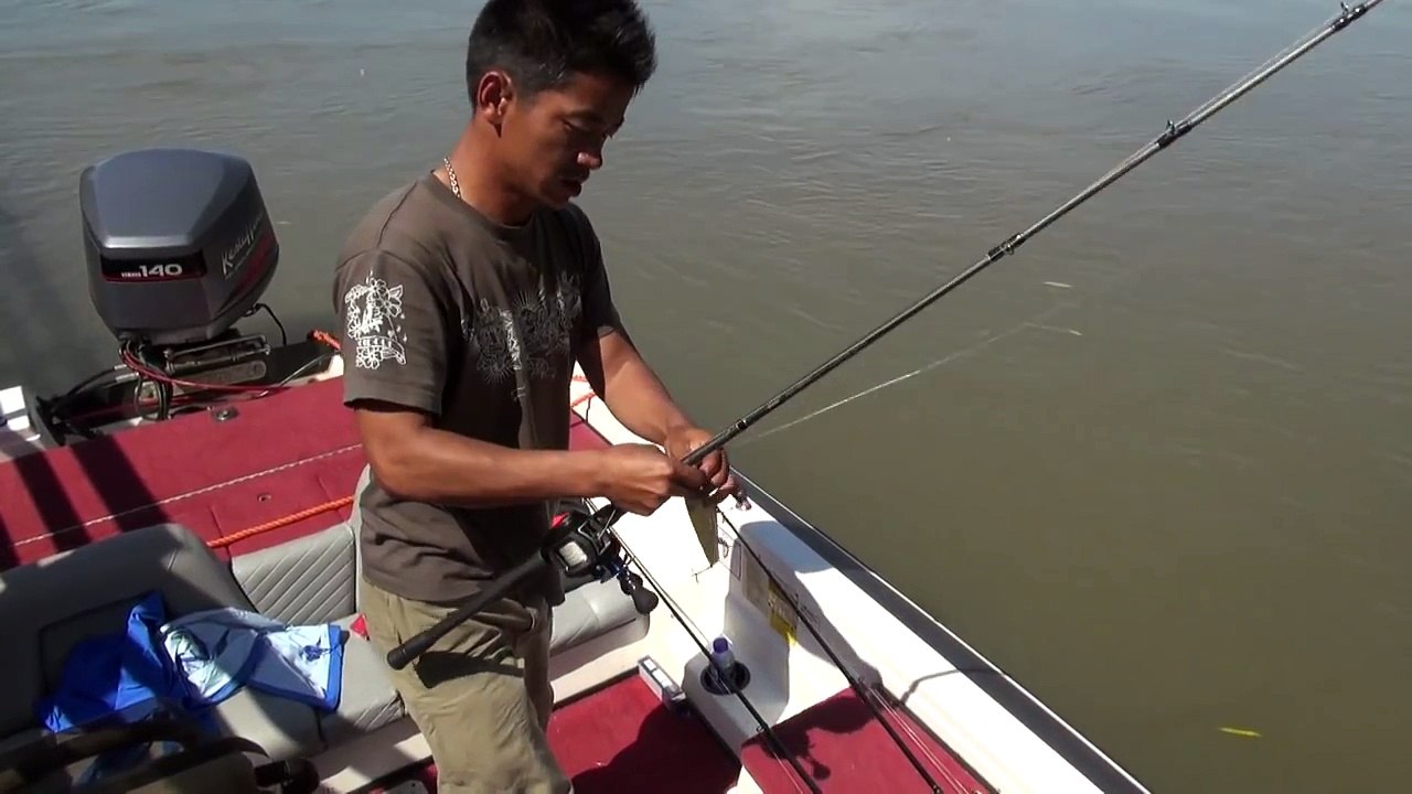 Super Monster Yellow Cheek