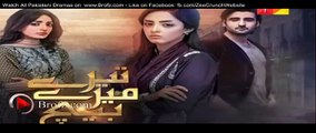 Tere Mere Beech Episode 12 Promo - Hum Tv Drama