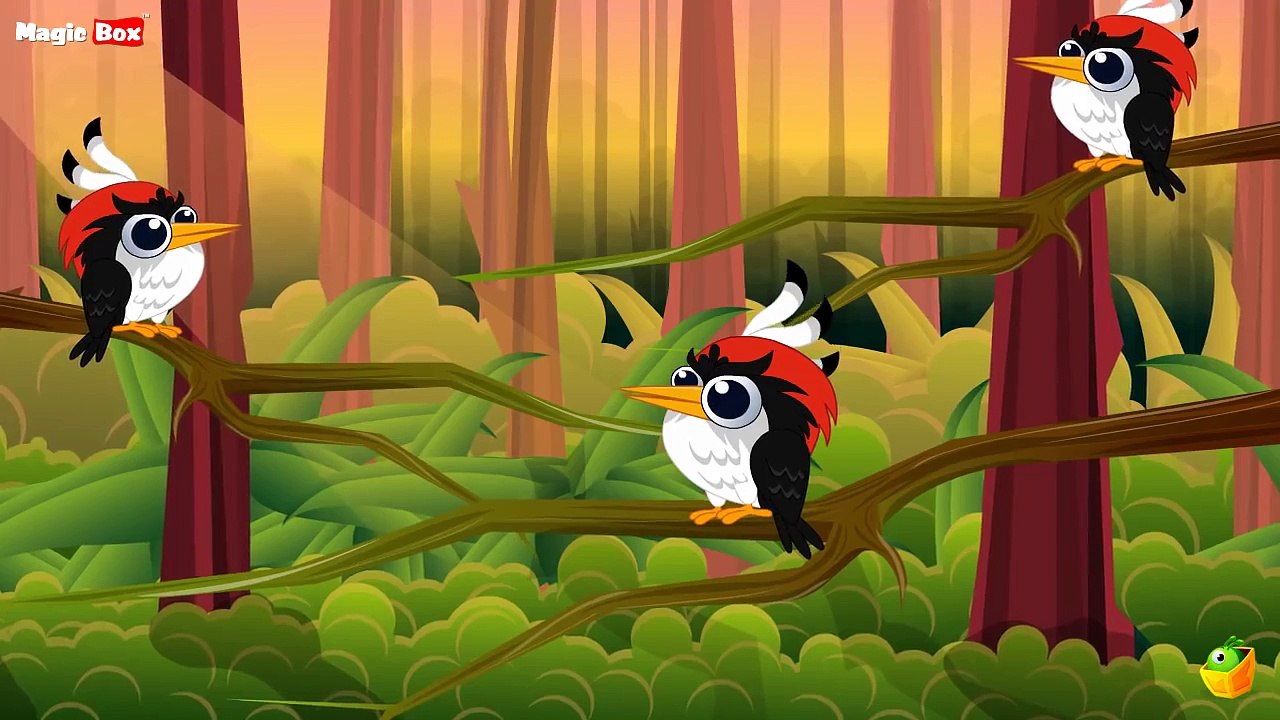 Woody Woodpecker English Nursery Rhymes Cartoon/Animated Rhymes For Kids