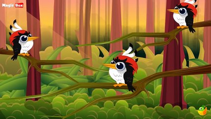 Woody Woodpecker English Nursery Rhymes Cartoon/Animated Rhymes For Kids