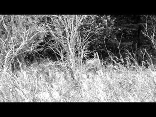 Indian Point Camps The Real Deal - Indian Point Camp