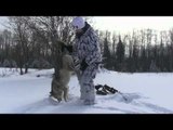 Fatal Impact Outdoors - Coyote Winters