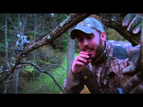 Winchester Archerys Whitetail Frenzy - Winchester Archerys Whitetail Frenzy