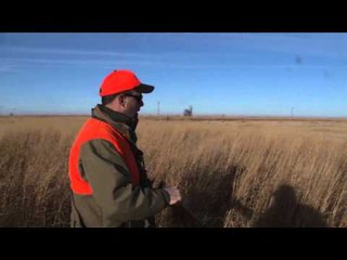 SportingDog Adventures - Goose and Pheasants Rain Down