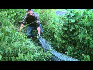 FOXPRO Furtakers - FOXPRO Furtakers