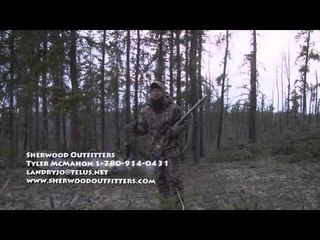 Open Season TV - Black Bear in Alberta