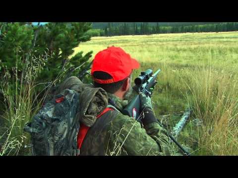 Primos The Truth About Hunting - Huntung Elk at the Hill Ranch