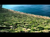 Jim Shockeys Hunting Adventures - Kri Kri Ibex Hunt on an Island in Greece