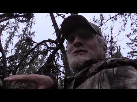 Silent Draw Outdoors - Silent Draw Outdoors