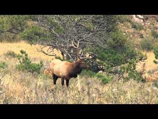 HeadHunters TV - Headhunting Colorado