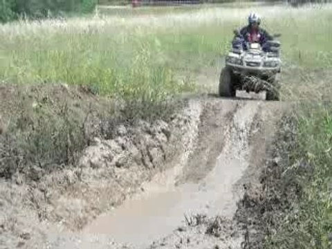 artémis rassemblement