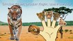 Africans Wild Animals Finger Family / Nursery Rhymes