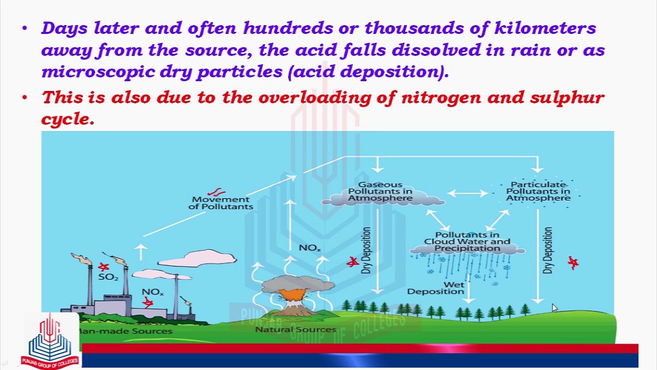 Acid Rain & its Effects