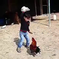 Baby Fighting With Cock