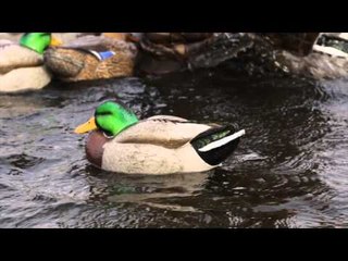 Claudio Ongaro's Hired to Hunt