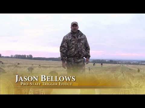 Trigger Effect - Trigger Effect